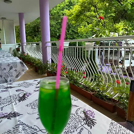 рива Hotel 3*